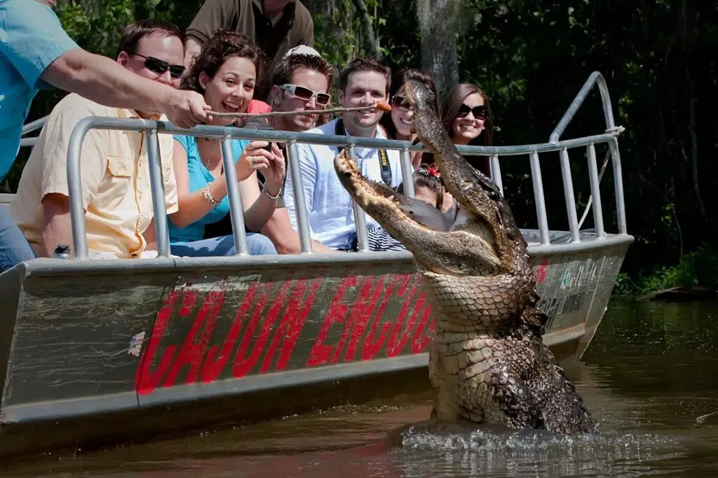 New Orleans in October for a Birthday and a Bayou Day