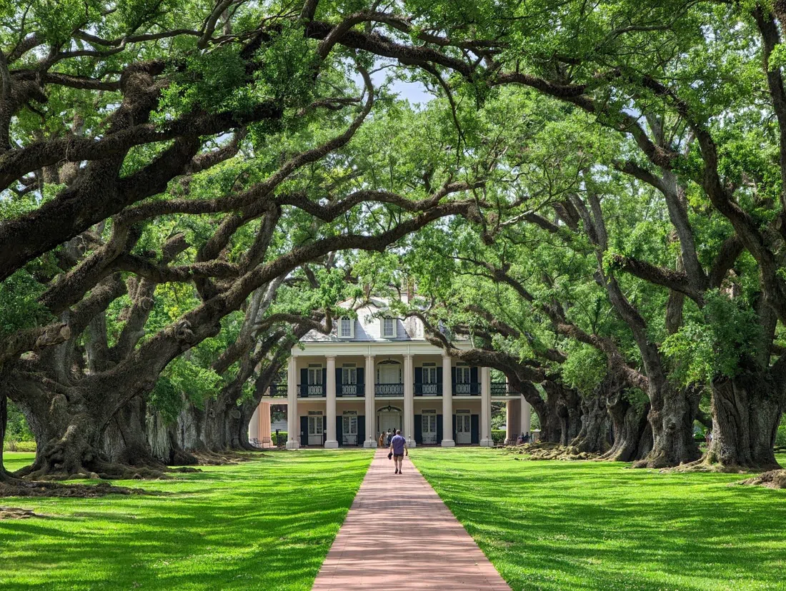 Oak Alley Plantation, Nueva Orleans