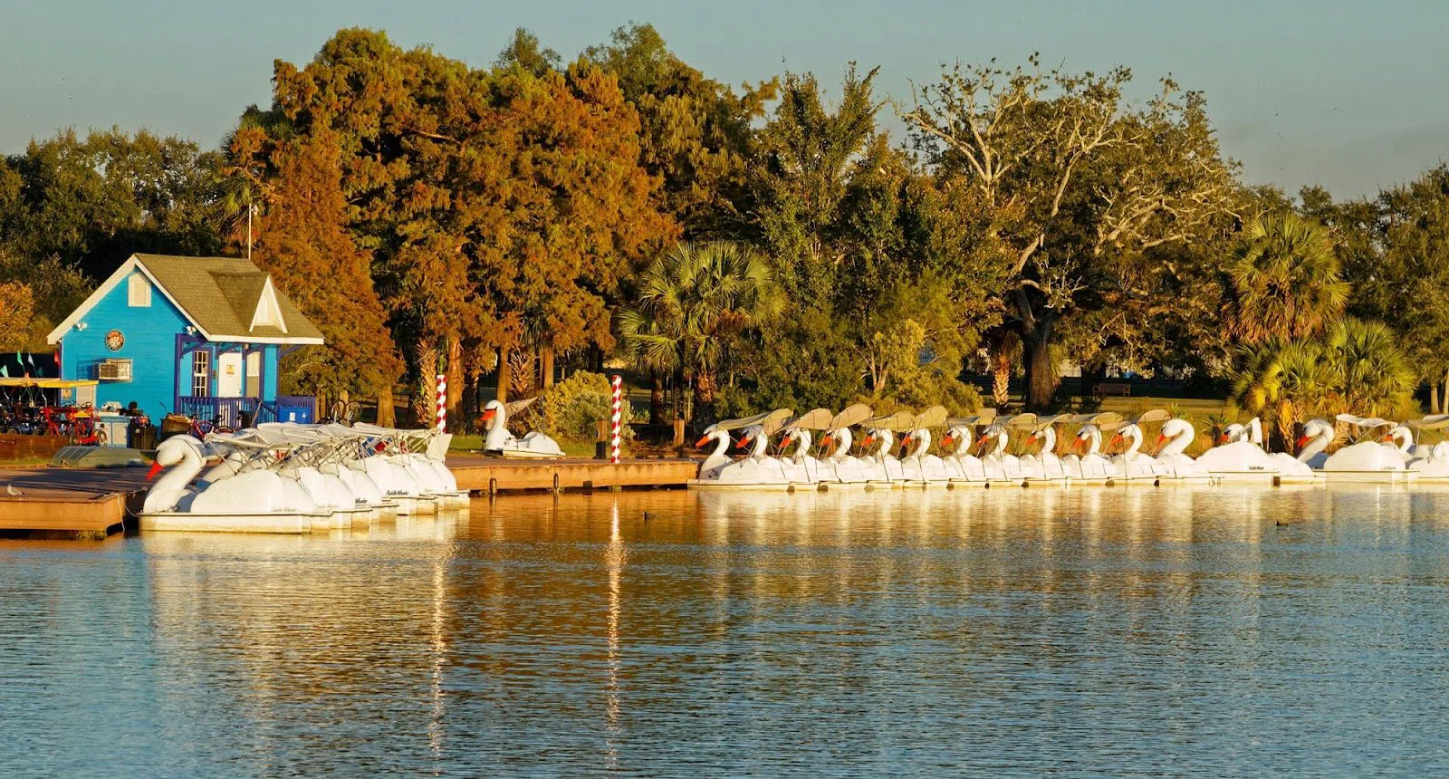 Wheel Fun Rentals — Big Lake, New Orleans